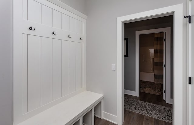 mudroom featuring dark wood-type flooring