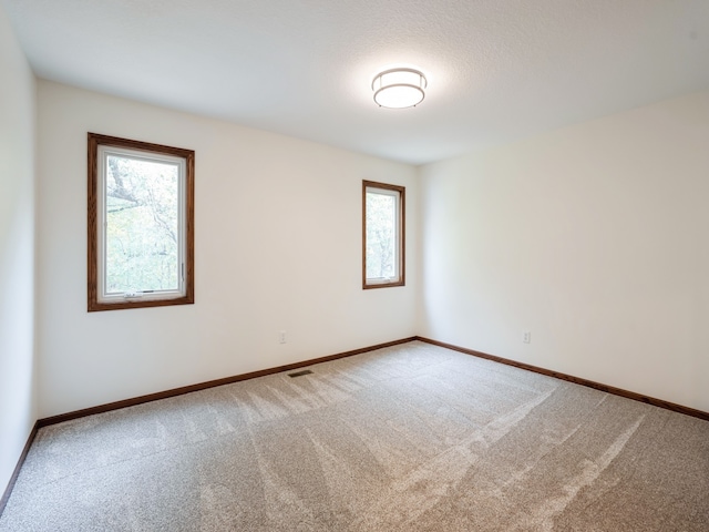 carpeted spare room with a wealth of natural light and a textured ceiling