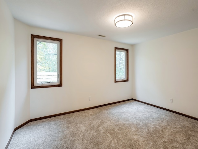 unfurnished room with a textured ceiling, plenty of natural light, and carpet