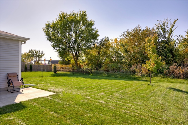 view of yard featuring a patio area