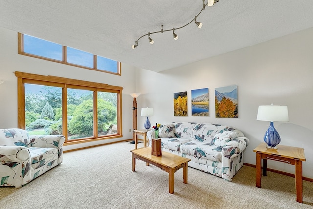 carpeted living room with a textured ceiling