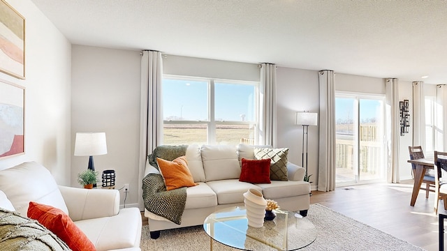 living room with plenty of natural light, light hardwood / wood-style floors, and a textured ceiling