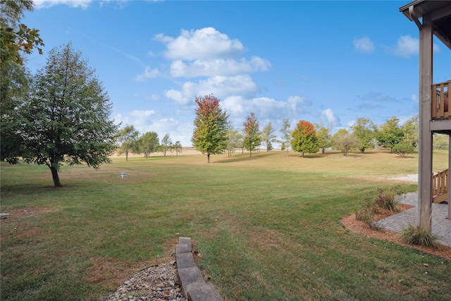 view of yard