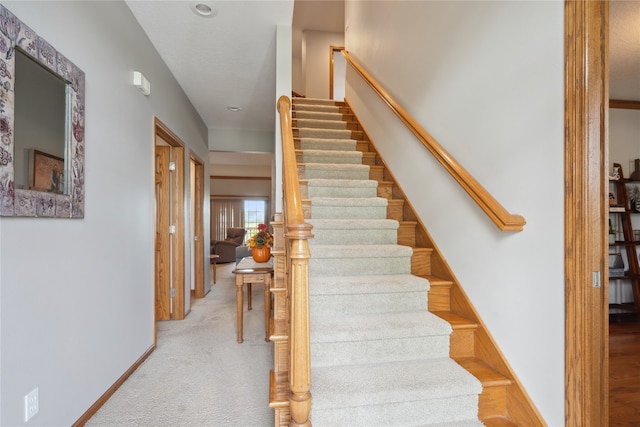 stairway featuring carpet floors