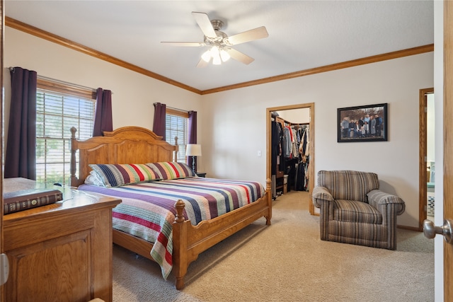 carpeted bedroom featuring multiple windows, ceiling fan, a closet, and a walk in closet