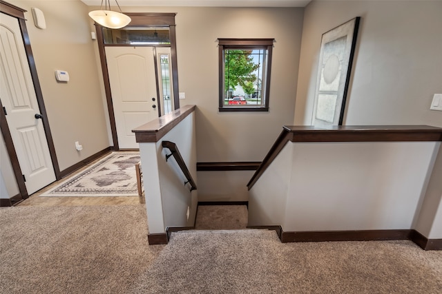 staircase with carpet floors