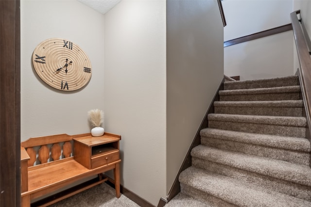 stairway with carpet