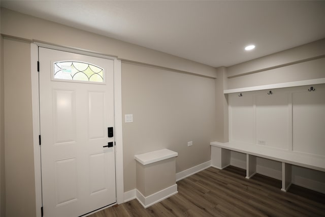 mudroom with dark hardwood / wood-style floors