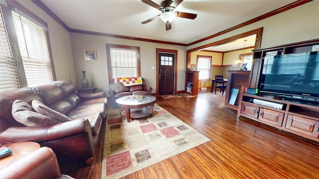 living room featuring ornamental molding, hardwood / wood-style flooring, a healthy amount of sunlight, and ceiling fan