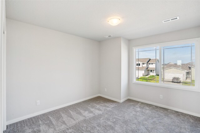 1213 NW Driftwood Dr, Ankeny, IA 50023 - photo 11