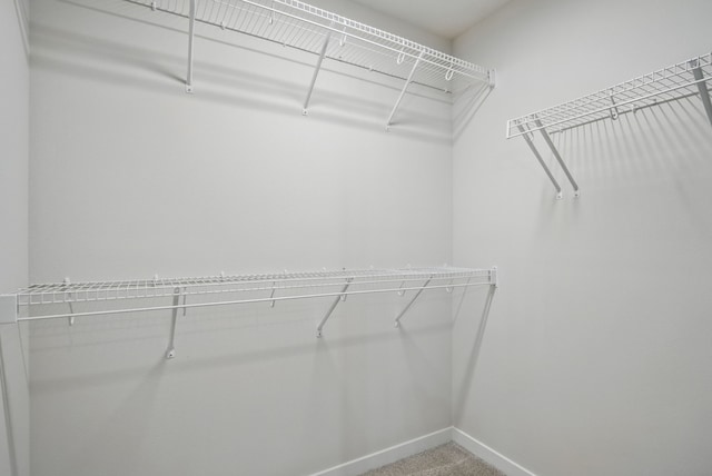 spacious closet with carpet floors
