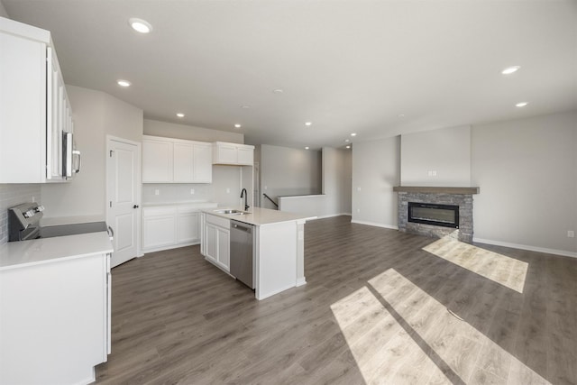 kitchen with backsplash, a fireplace, wood finished floors, stainless steel appliances, and a sink