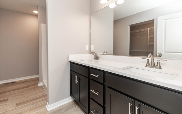 bathroom with vanity and hardwood / wood-style floors