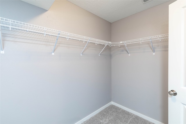 spacious closet featuring carpet floors