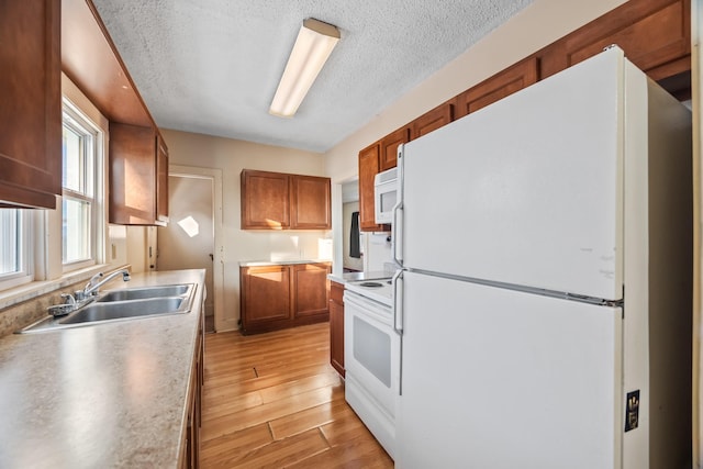 kitchen with a textured ceiling, sink, light hardwood / wood-style floors, and white appliances