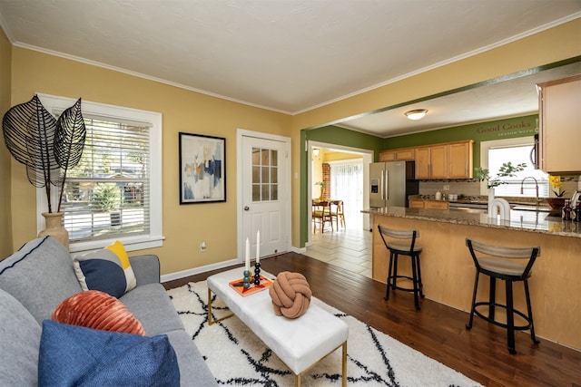 living room featuring sink, dark hardwood / wood-style flooring, and ornamental molding