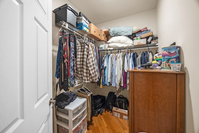 spacious closet with light wood-type flooring