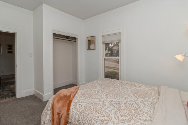 carpeted bedroom featuring a closet and crown molding