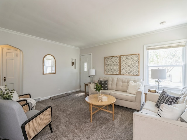 carpeted living room with crown molding and a healthy amount of sunlight