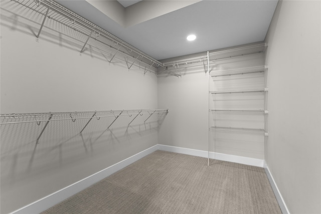 walk in closet featuring carpet flooring