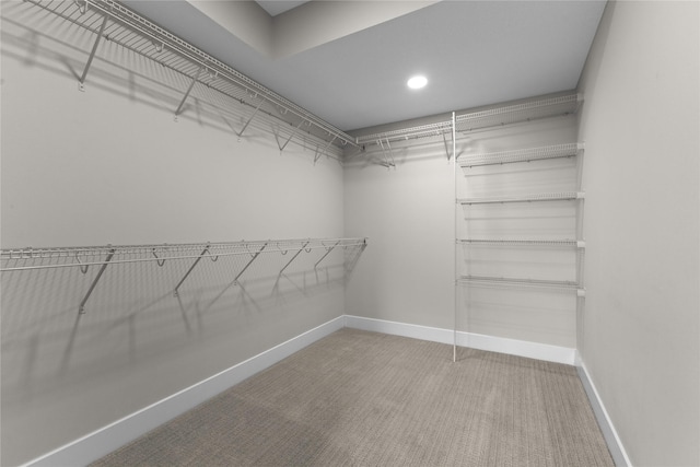 675 Daybreak Dr, Waukee, IA 50263 - spacious closet featuring carpet flooring