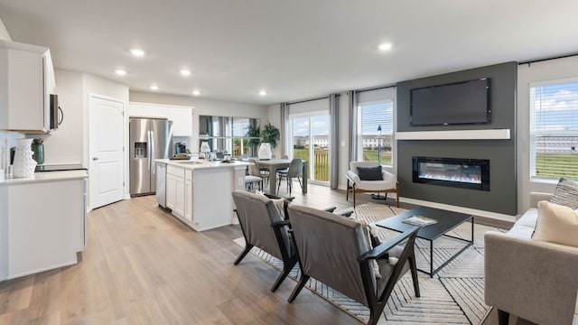 living room featuring light hardwood / wood-style floors