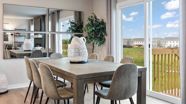 dining room with light hardwood / wood-style floors