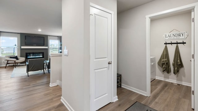 hall featuring a wealth of natural light and hardwood / wood-style flooring