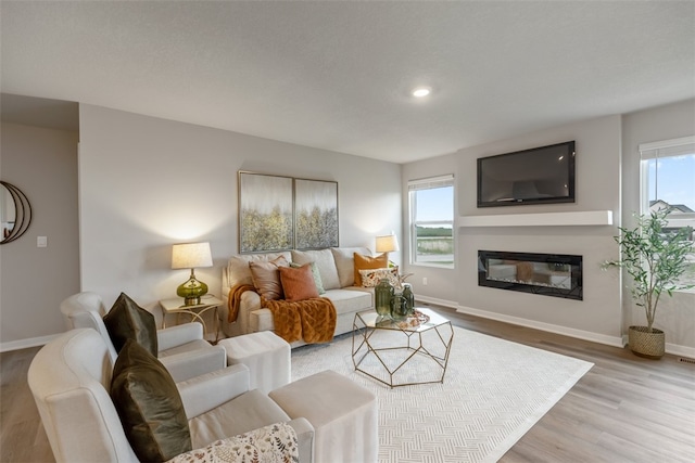 living room with a healthy amount of sunlight and light hardwood / wood-style floors