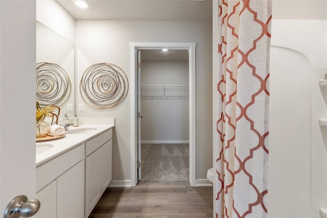 bathroom featuring wood-type flooring and vanity