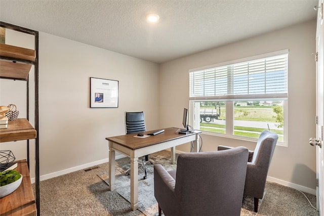 home office with a textured ceiling, carpet flooring, and plenty of natural light