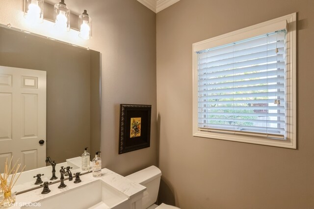 bathroom with sink, crown molding, and toilet