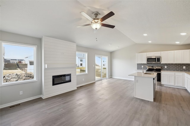 kitchen with tasteful backsplash, lofted ceiling, light wood-style flooring, open floor plan, and stainless steel appliances