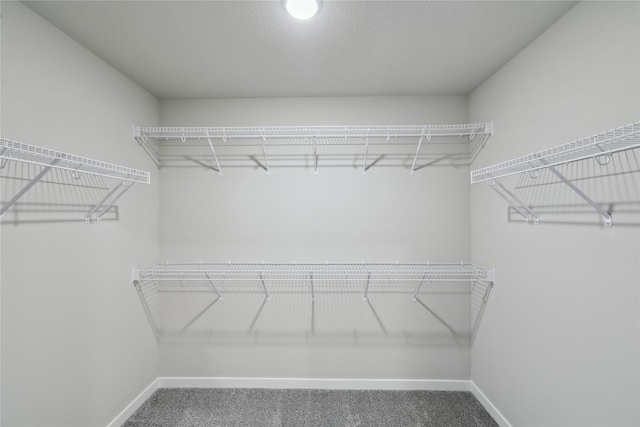 walk in closet with carpet