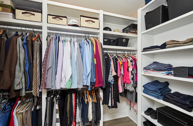 spacious closet with hardwood / wood-style flooring