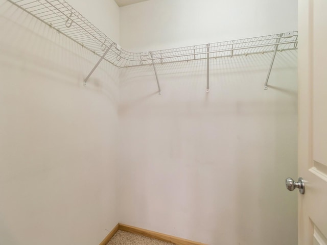 view of walk in closet