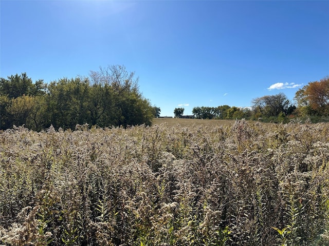 999 Mcgregor Dr, Knoxville, IA 50138 - photo 8