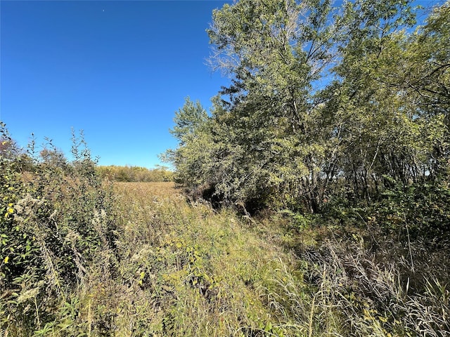 999 Mcgregor Dr, Knoxville, IA 50138 - photo 12