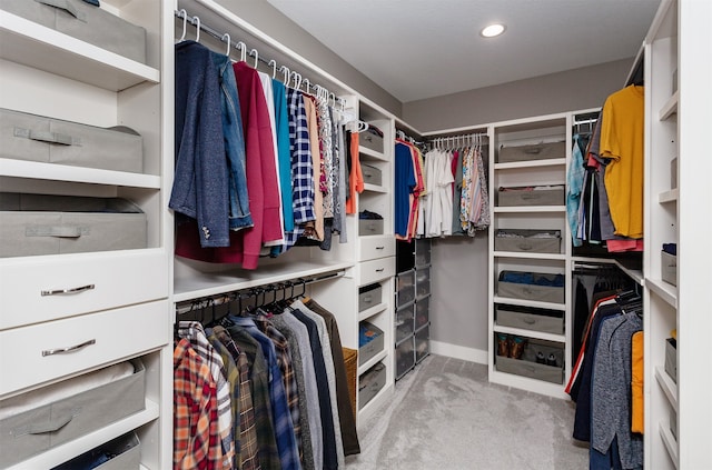 spacious closet with light carpet