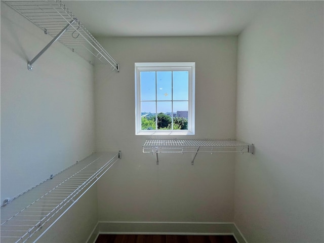 walk in closet with wood-type flooring