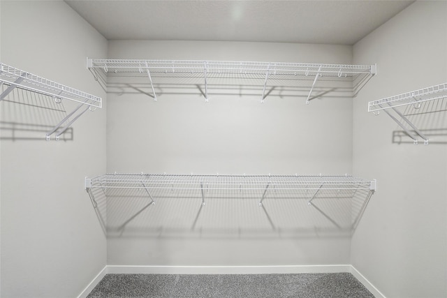 spacious closet with carpet