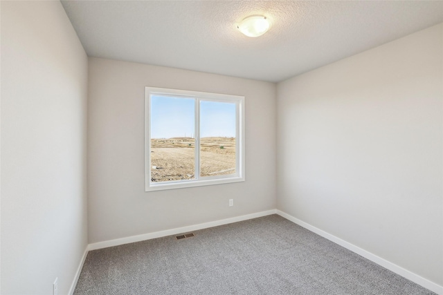 unfurnished room with carpet and a textured ceiling