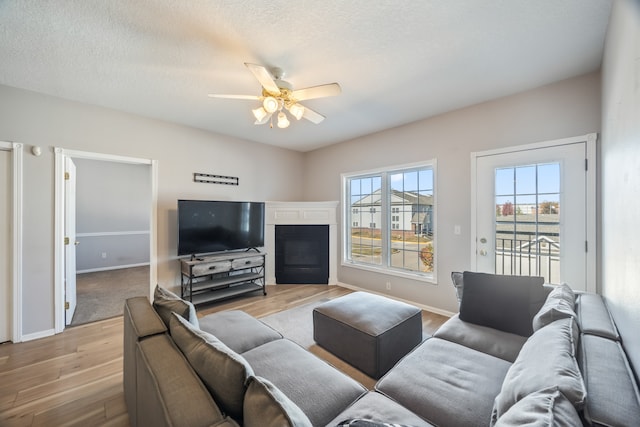 living room featuring ceiling fan, a textured ceiling, and light wood-type flooring