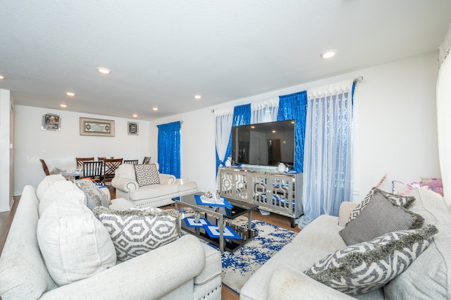 living room featuring hardwood / wood-style flooring