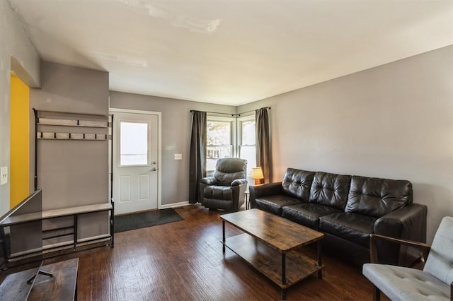 living room featuring dark wood-type flooring