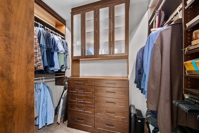 spacious closet featuring light carpet