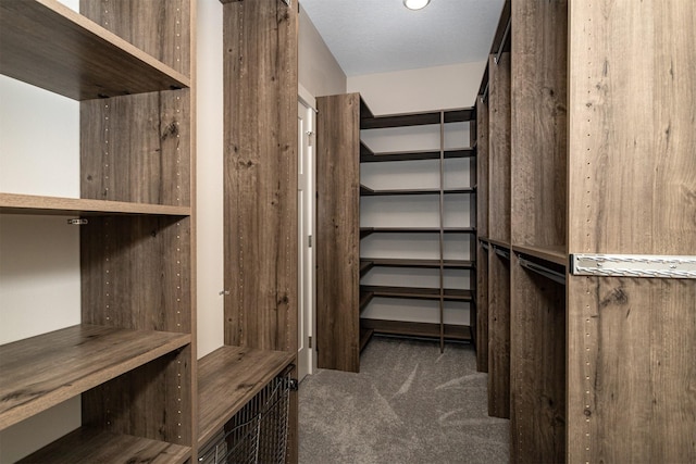 walk in closet with dark colored carpet