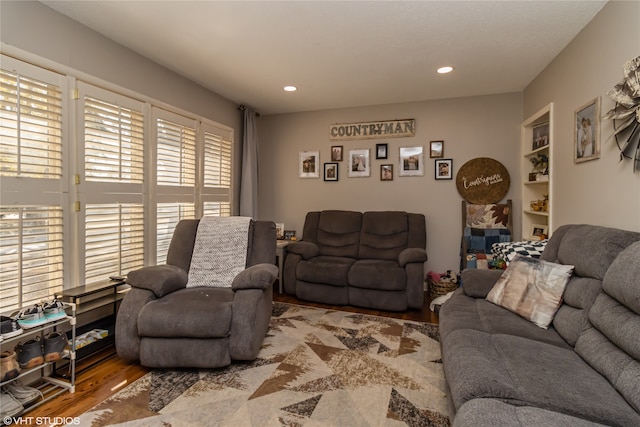 living room featuring wood-type flooring