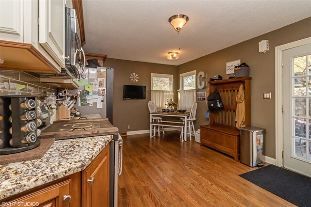 kitchen with dark hardwood / wood-style floors, stainless steel appliances, and a wealth of natural light