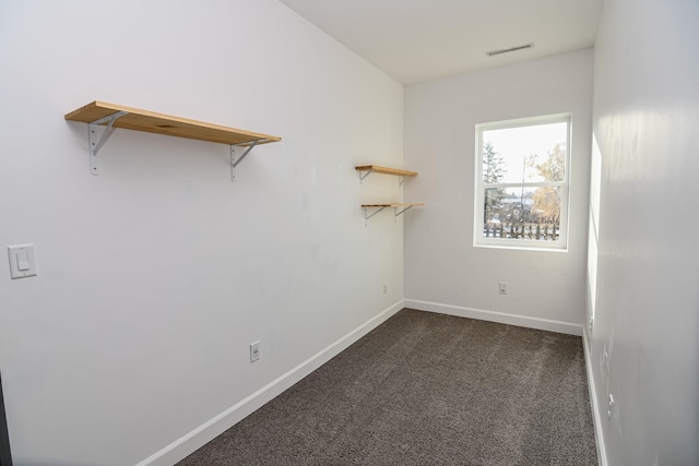 spacious closet with dark colored carpet